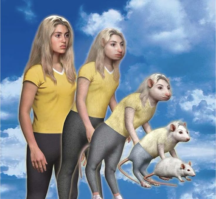 Human Rat