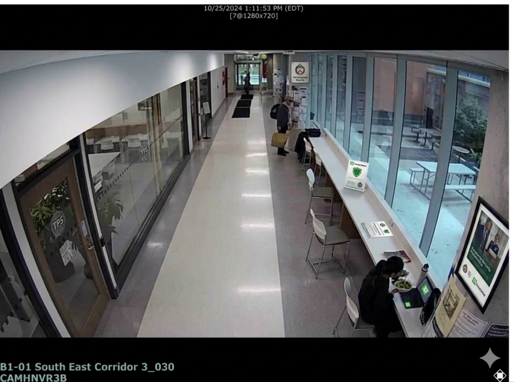 Scrutinizing RCMP Responsibility for False Arrest Warrants in CPIC 2 Karat and TPS Insurance Image 3 1